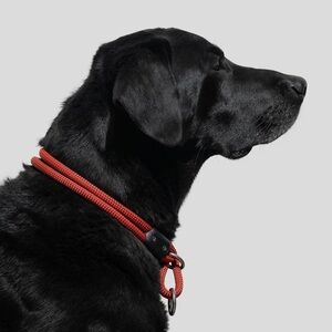 Atlas Lifetime collar